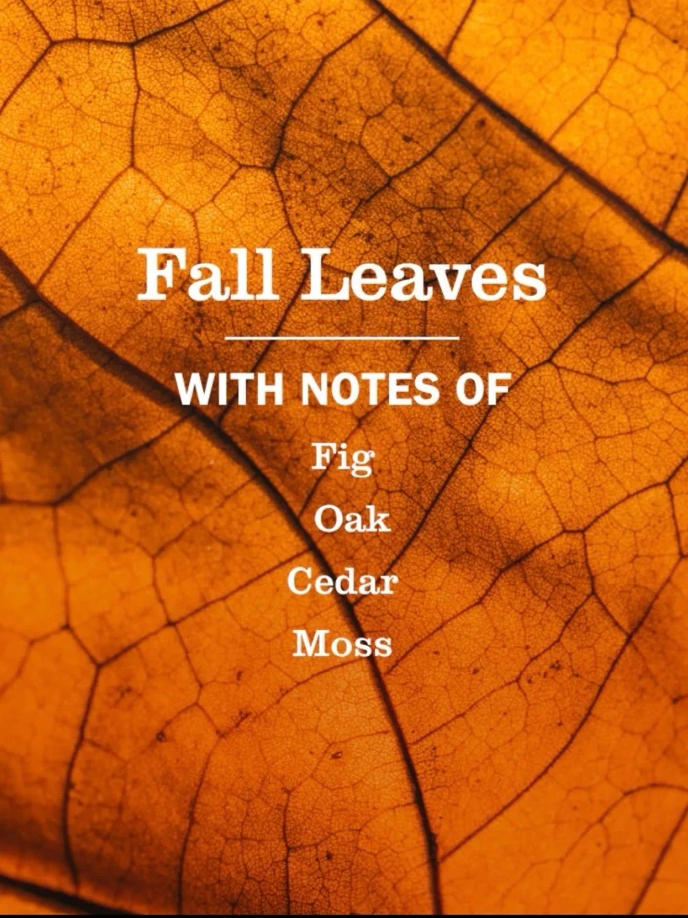 Meyer’s Clean Day Fall Leaves Hand Soap - Limited Scent